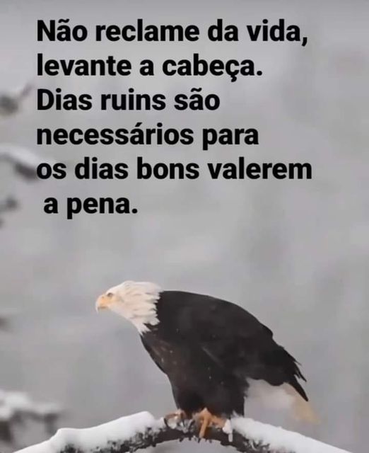 BlogMeiaHoraNoticias.com: Bom Dia